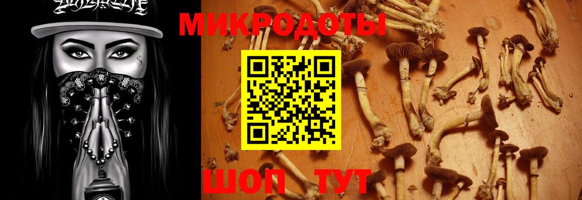 Кандалакша  Псилоцибиновые грибы ЛСД  Вход с VPN  Псилоцибиновые грибы MAGIC MUSHROOMS 